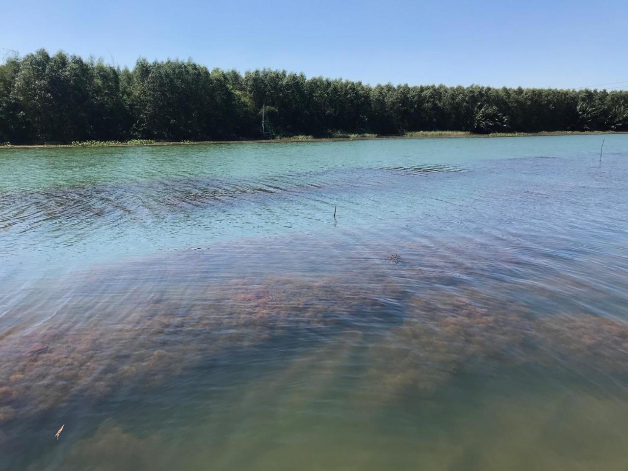 Chi-Bu Riverside Nhon Trach 外观 照片